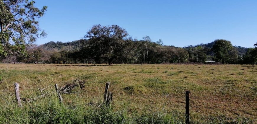 lotes en Venta San Pablo Viejo.