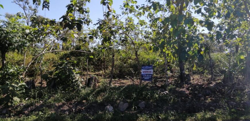 Finca en Venta Bagala.