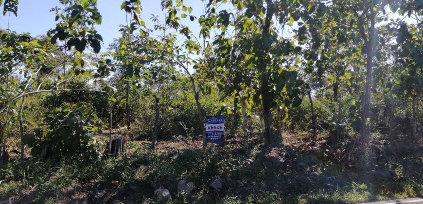 Finca en Venta Bagala.