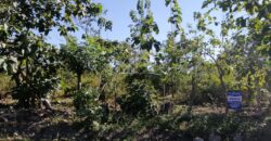 Finca en Venta Bagala.