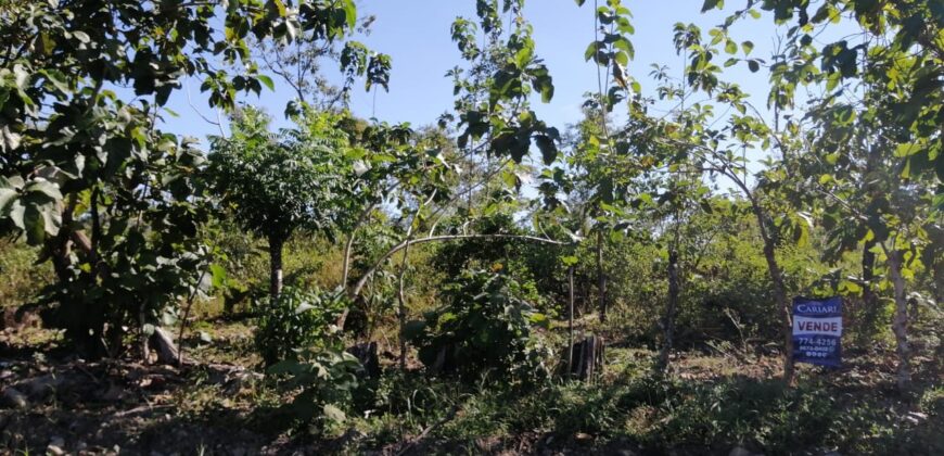 Finca en Venta Bagala.