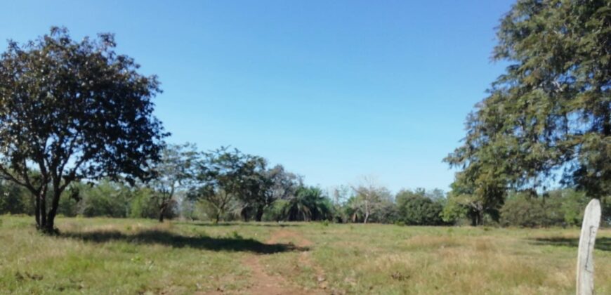 Finca en Venta Bagala.