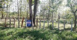 Finca en Venta Bagala 8 Hectareas