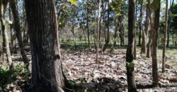 Finca en Venta Bagala 8 Hectareas