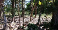 Finca en Venta Bagala 8 Hectareas