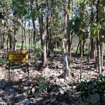 Finca en Venta Bagala 8 Hectareas