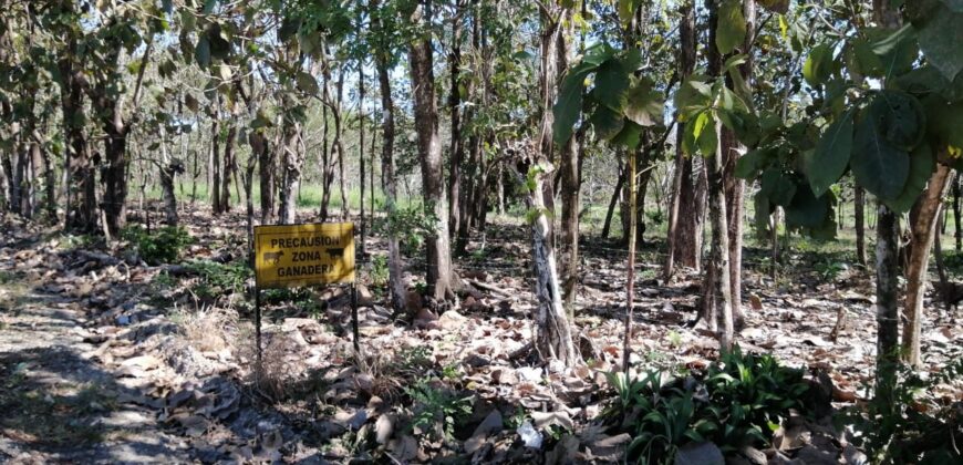 Finca en Venta Bagala 8 Hectareas