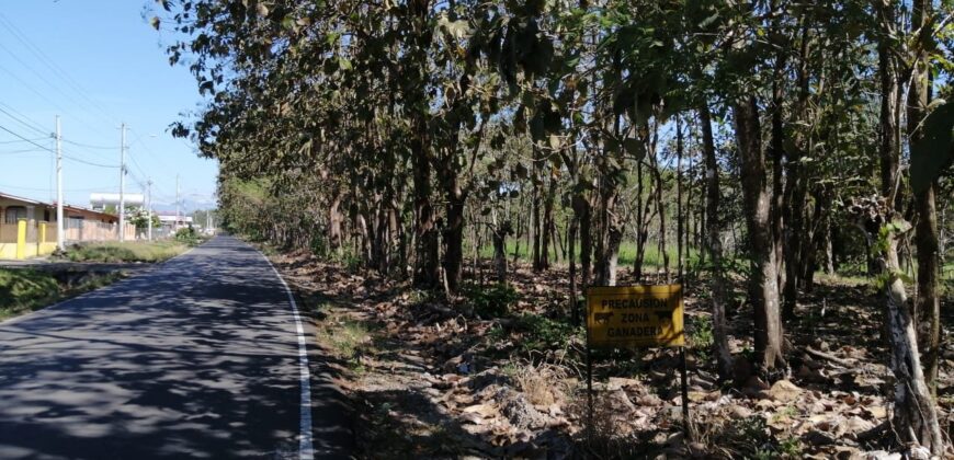 Finca en Venta Bagala 8 Hectareas