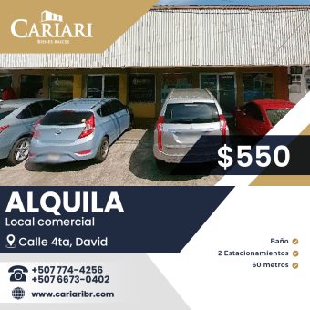 Locales en Alquiler Plaza 4 David – Chiriqui