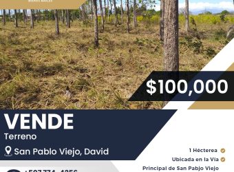 Vende Terreno de 1 Hectárea en San Pablo Viejo